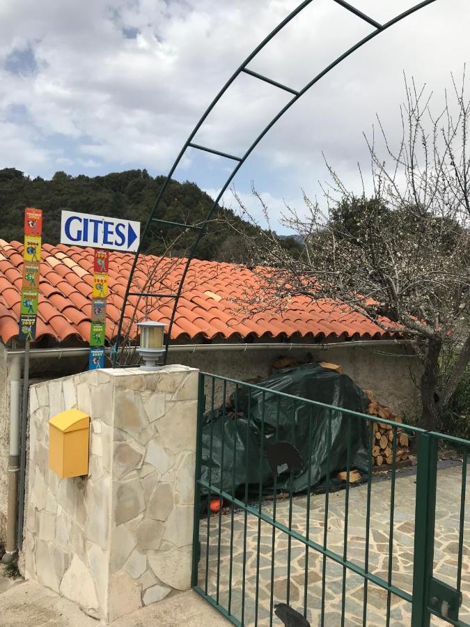 Le Paradis Bed and Breakfast Zicavo Εξωτερικό φωτογραφία